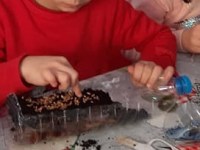 MAQUETE DO PAUL DA PRAIA DA VITÓRIA