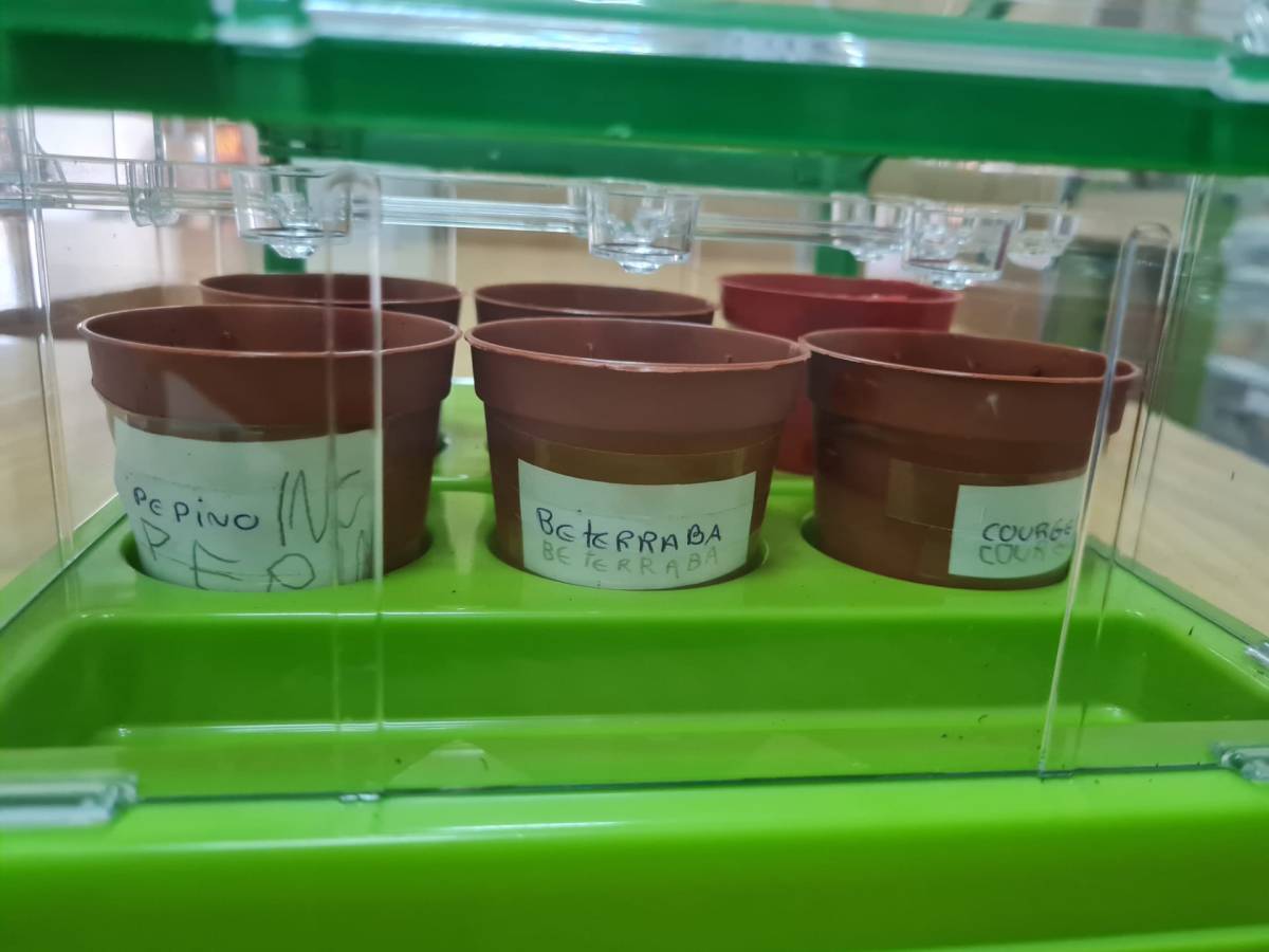 AGRICULTURA – EXPERIÊNCIAS CONTROLADAS