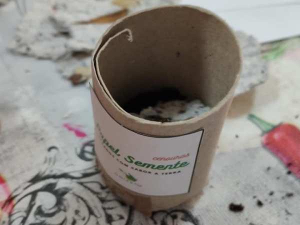 PAPEL SEMENTE: O PAPEL RECICLADO QUE ORIGINA UMA PLANTA!