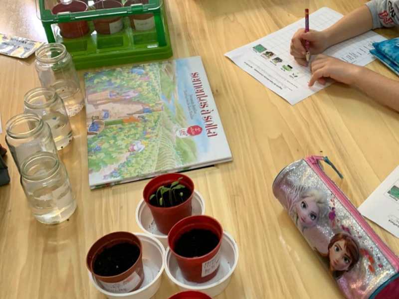 REGISTAR EXPERIÊNCIAS EM AGRICULTURA!