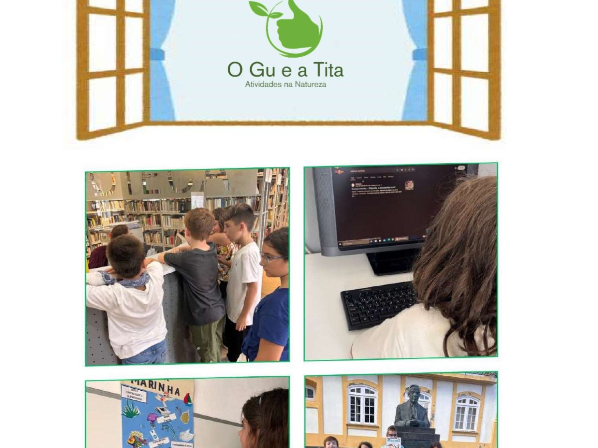 NÚMERO 001 — DEZEMBRO 2024